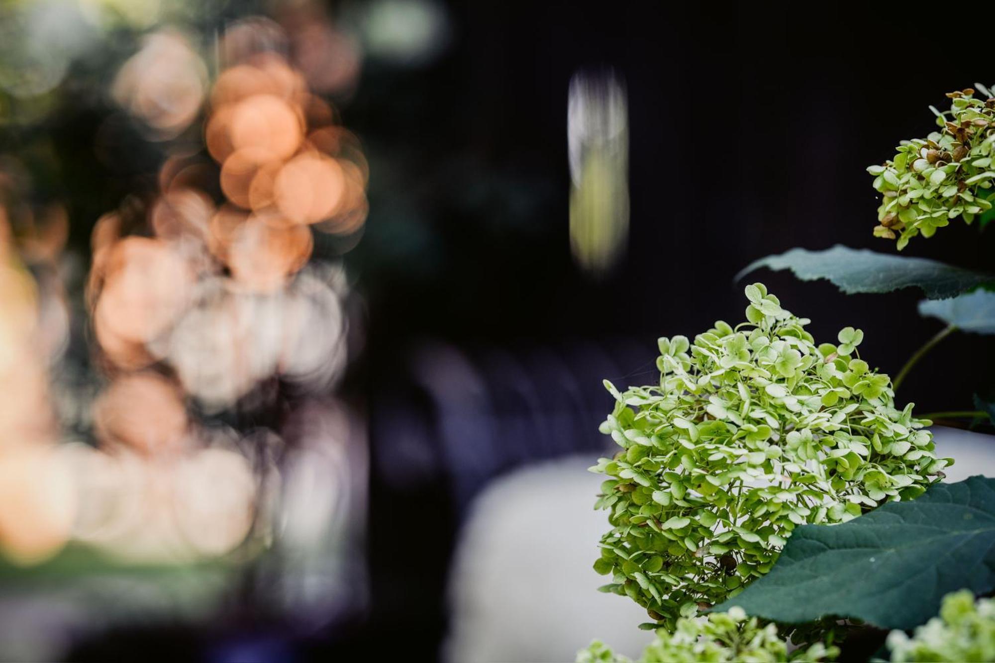 Carpe Deimern In Der Lueneburger Heide Soltau Ngoại thất bức ảnh